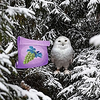 Winter Wonderland Forest Adventure Game Cover