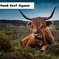 Scotland Beef Jigsaw Game Cover