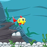 The Happiest Fish Game Cover
