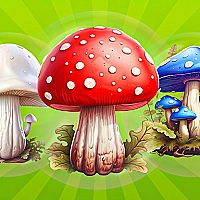 MergeMushrooms: 2048! Game Cover