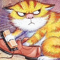 Funny Cats Slide Game Cover