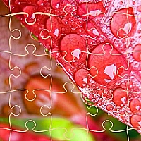Jigsaw Puzzles Game Cover