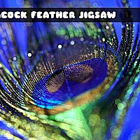 Peacock Feather Jigsaw Game Cover