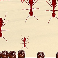Smash All Ants Game Cover