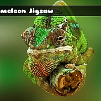 Chameleon Jigsaw Game Cover