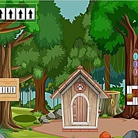 G2M Cat Escape Game Cover