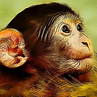Funny Baby Monkey Game Cover