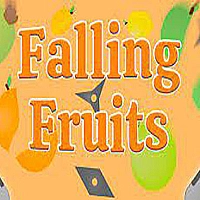 falling fruits touch Game Cover