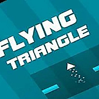 Flying Triangle 2021 Game Cover