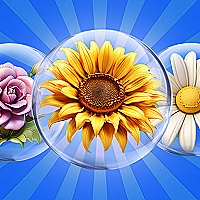 Dice Puzzle Flowers! Game Cover
