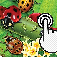 Ladybug Clicker Game Cover