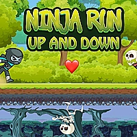 Ninja Run Up and Down Game Cover