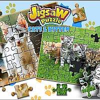 Jigsaw Puzzle Cats & Kitten Game Cover