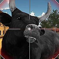 Bull Shooting Game Cover