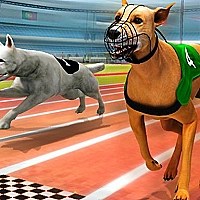 Dogs3D Races Game Cover