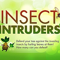 Insect Intruders Game Cover