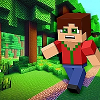 Minicraft Insane Game Cover