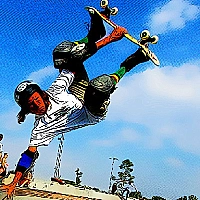 Free Style Skateboarders Game Cover