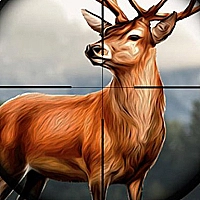 Safari Animal Hunter Game Cover
