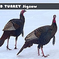 Wild Turkey Jigsaw Game Cover