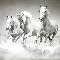 Horses Puzzle Game Cover