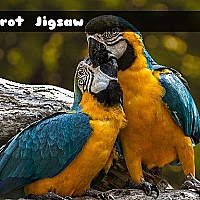 Parrot Jigsaw Game Cover