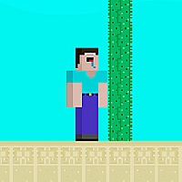 Noob vs Hacker Game Cover