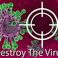 Destroy The Corona Virus Game Cover