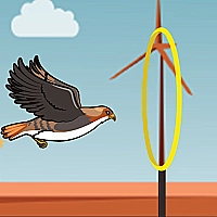 FLYING BIRD Game Cover