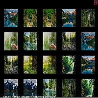 memorize nature Game Cover