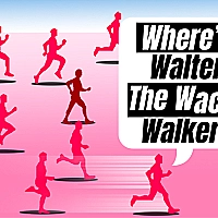 Where Is Walter The Wacky Walker Game Cover