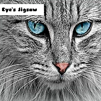 Cat Eye's Jigsaw Game Cover