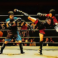 Fighters in the Ring Game Cover