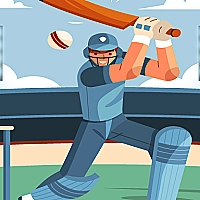 Pong Cricket Game Cover