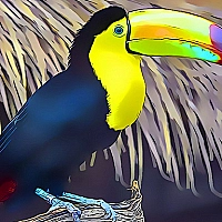 Toucan Bird Jigsaw Game Cover