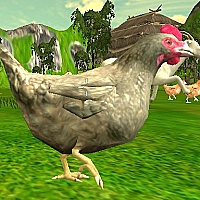 Chicken Shooting Game Cover