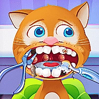 Pet House - Little Friends Game Cover