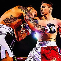 Boxing Champions Fight Game Cover