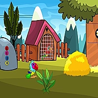 Macaw Couple Escape Game Cover