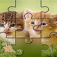 Cute Cats Puzzle game ftree Game Cover