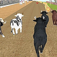 Bull Racing cover