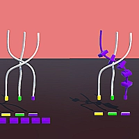 Twisted Rods Game Cover