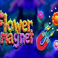 Flower Magnet Game Cover