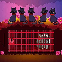 Turkey Rescue Game Cover