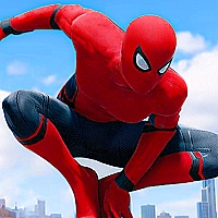 Spiderman Fighter Game Cover