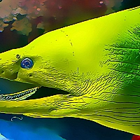 Underwater World Jigsaw Game Cover