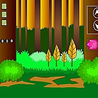 Swamp Rat Escape Game Cover