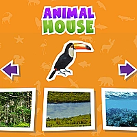 Animal  House game Game Cover