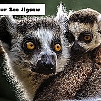 Lemur Zoo Jigsaw Game Cover