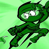 Up and Down Ninja Game Cover